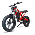 IJOYMOTO E-BIKE216